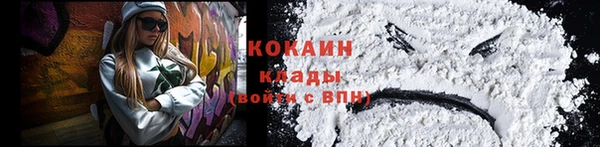 мдпв Волосово