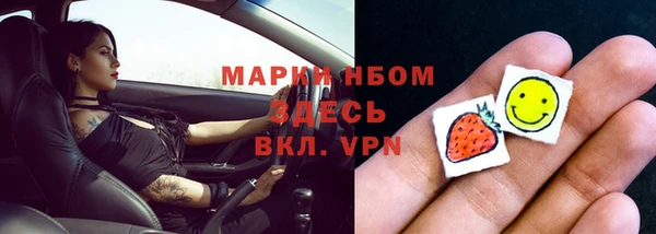 сатива Волоколамск