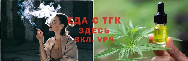 сатива Волоколамск