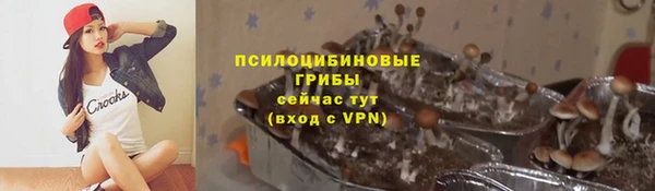 мдпв Волосово