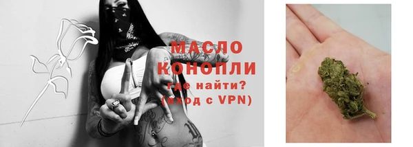 сатива Волоколамск