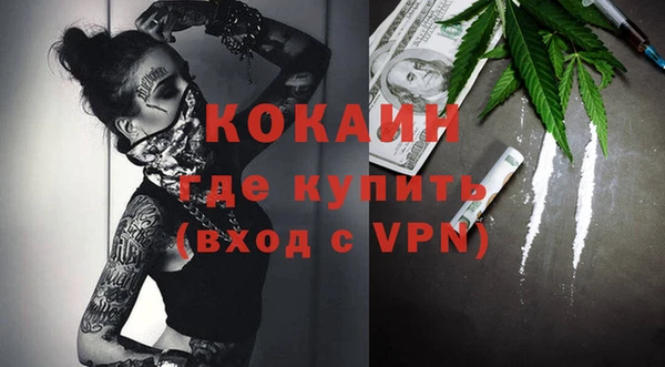 сатива Волоколамск