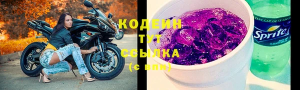 сатива Волоколамск