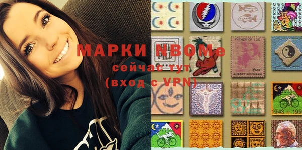 сатива Волоколамск
